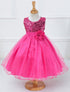 Mesh Paggy Dress